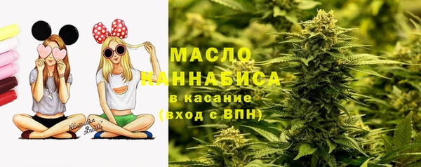 2c-b Пестово