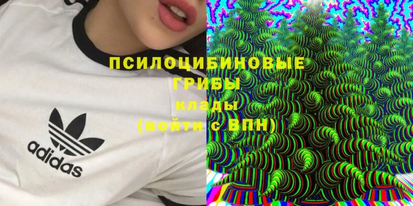 соль ск Переславль-Залесский