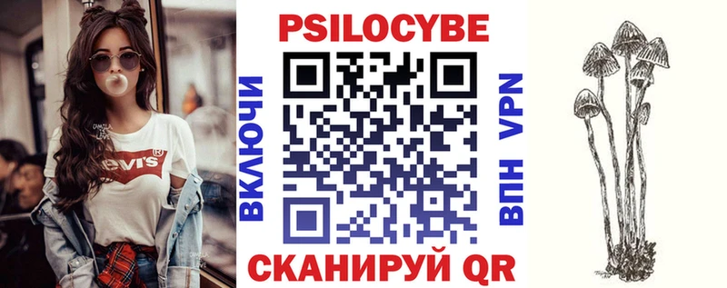 OMG зеркало  Болохово  Псилоцибиновые грибы MAGIC MUSHROOMS  как найти наркотики 